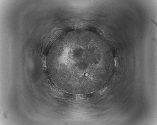X0000100231251200805301405