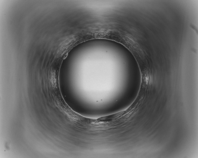 X0000100231252200805301405
