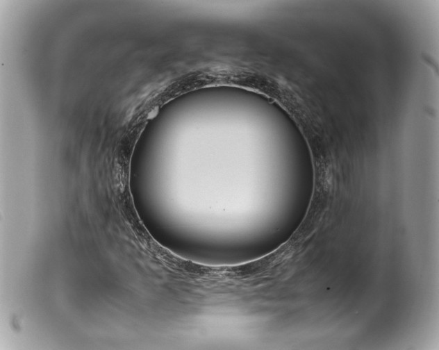 X0000100231253200805301405