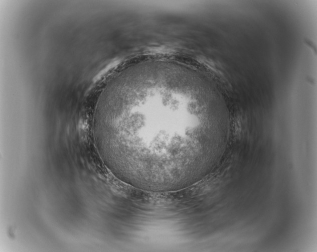 X0000100231254200805301405