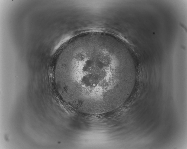 X0000100231255200805301405