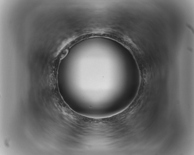 X0000100231256200805301405