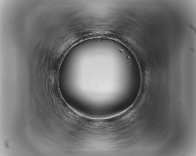 X0000100231257200805301405