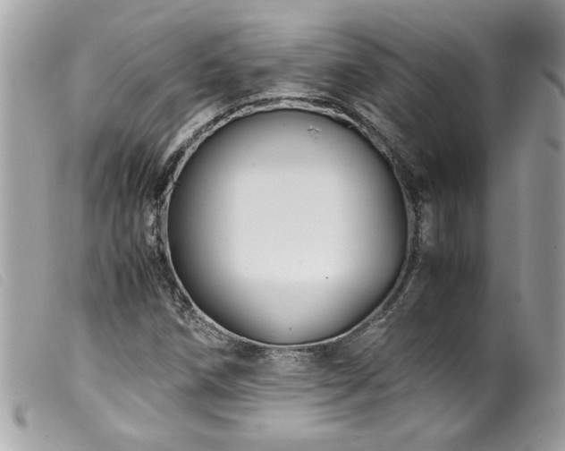 X0000100231258200805301405