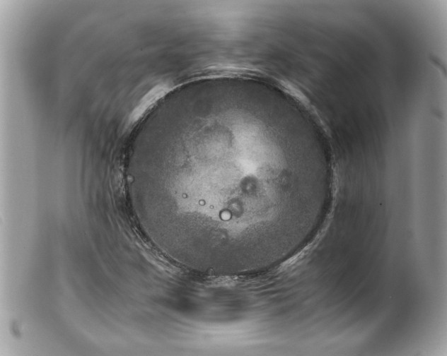 X0000100231259200805301405