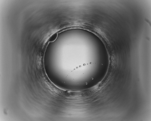X0000100231260200805301405