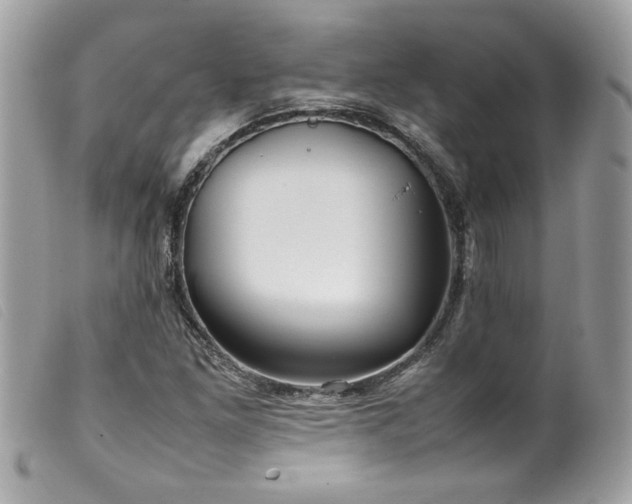 X0000100231261200805301405