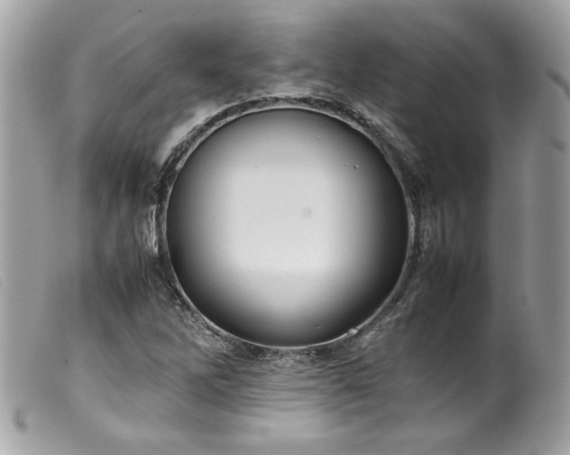 X0000100231262200805301405