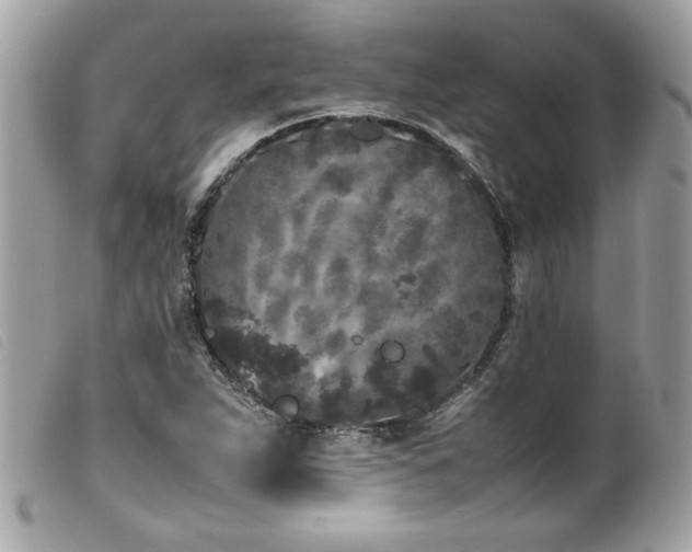 X0000100231263200805301405