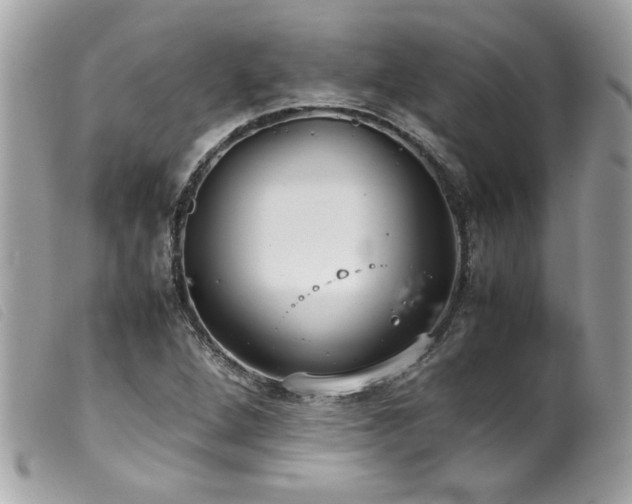 X0000100231264200805301405