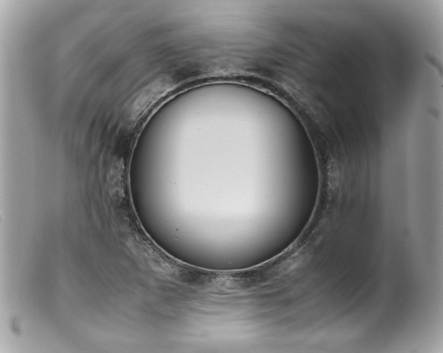 X0000100231265200805301405