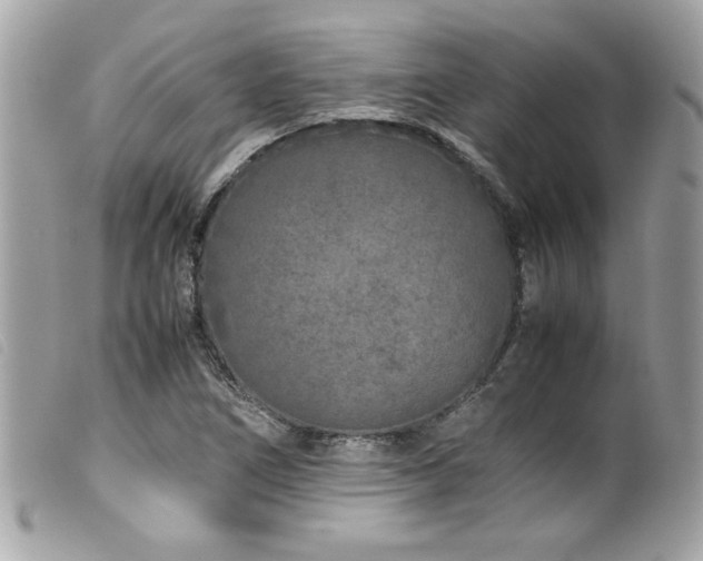 X0000100231266200805301405