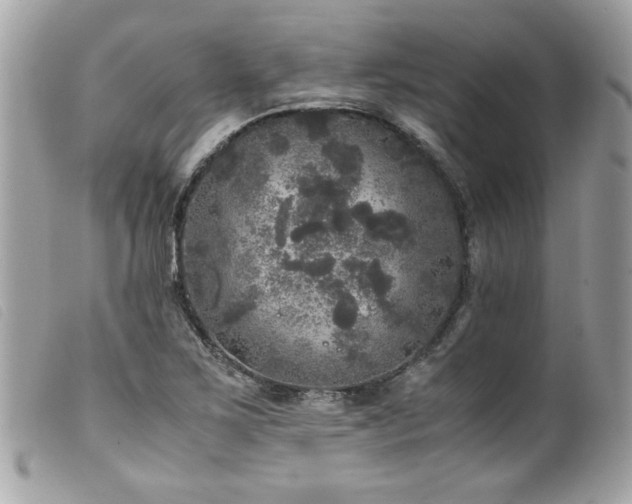 X0000100231267200805301405