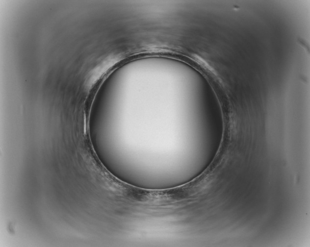X0000100231269200805301405
