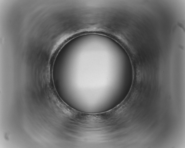 X0000100231270200805301405