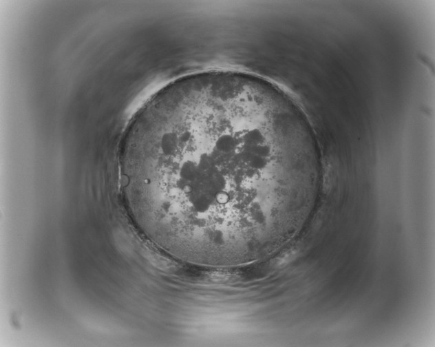 X0000100231271200805301405