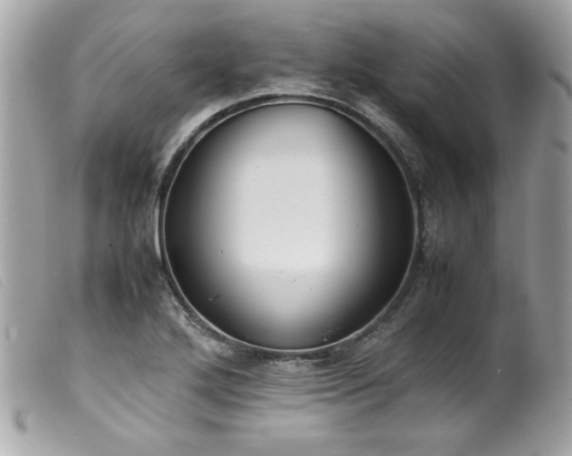 X0000100231272200805301405