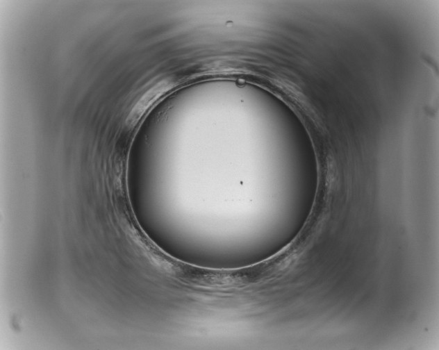 X0000100231273200805301405