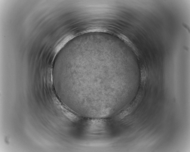 X0000100231274200805301405