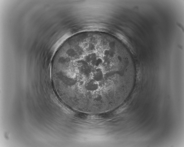 X0000100231275200805301405