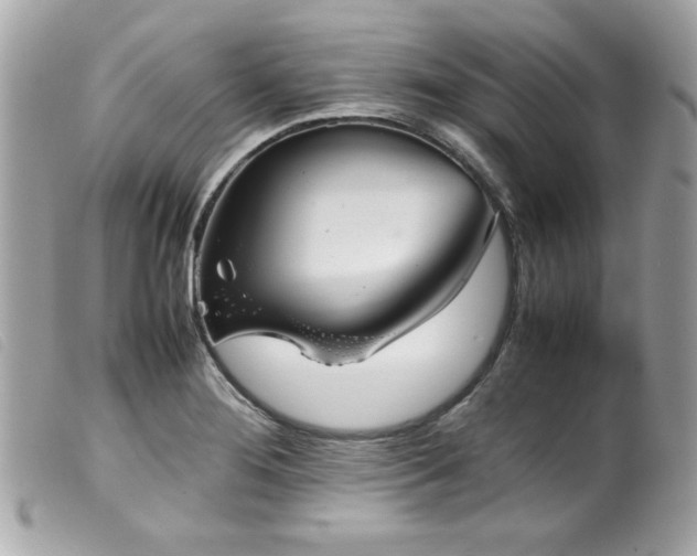 X0000100231276200805301405