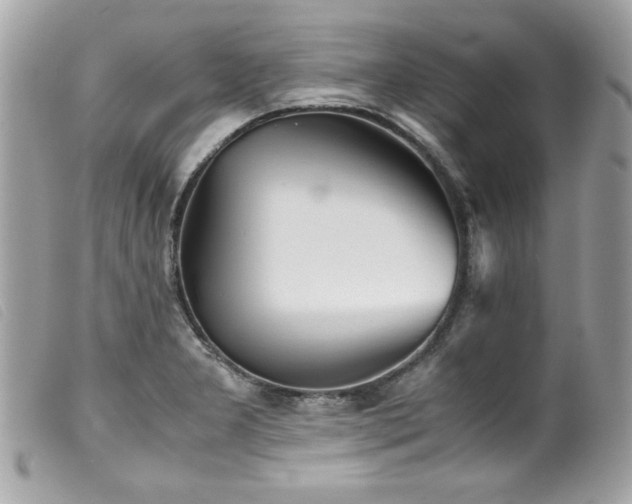 X0000100231277200805301405