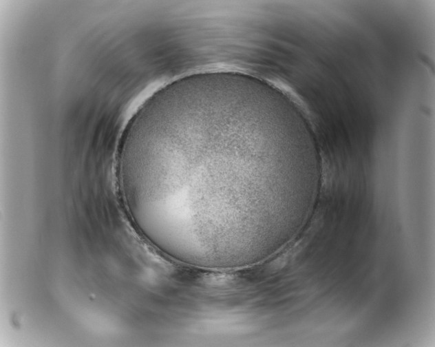 X0000100231278200805301405