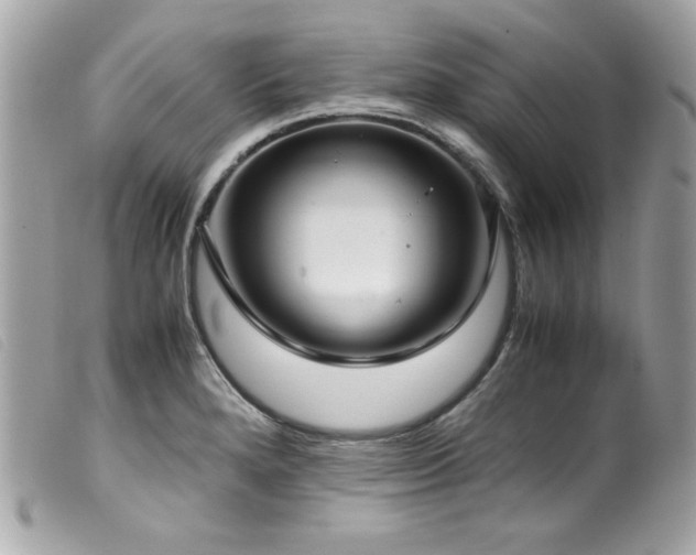 X0000100231280200805301405