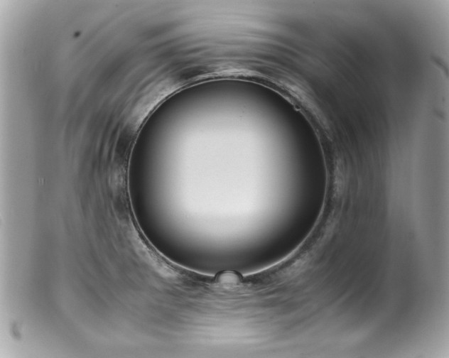 X0000100231281200805301405