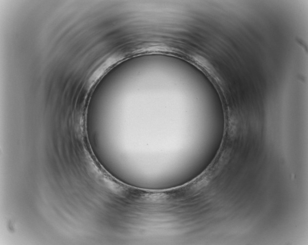 X0000100231282200805301404