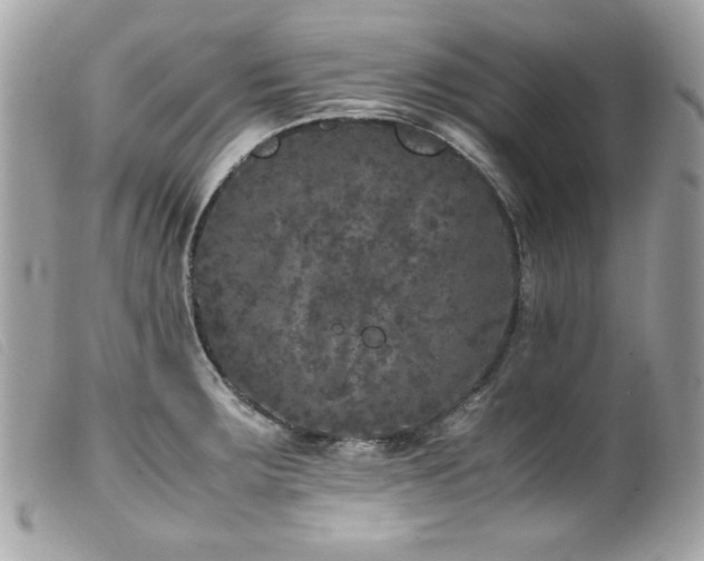 X0000100231283200805301404