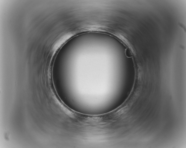 X0000100231285200805301404