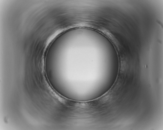 X0000100231286200805301404