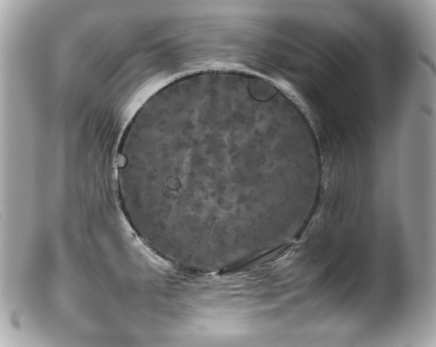X0000100231287200805301404