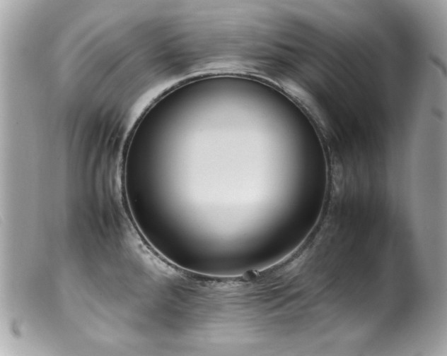 X0000100231288200805301404