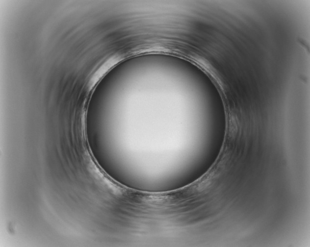 X0000100231290200805301404