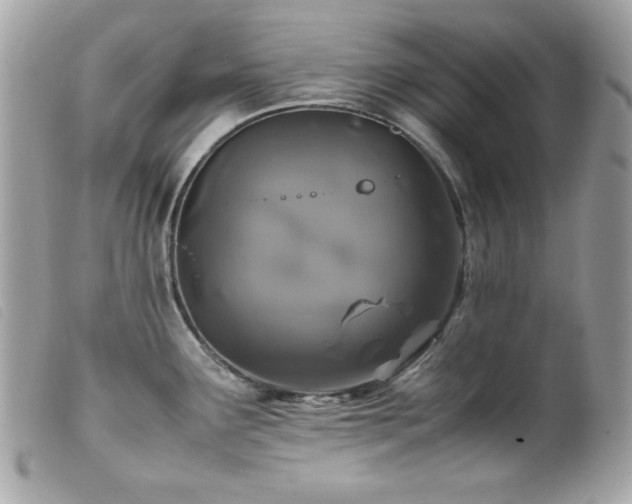 X0000100231291200805301404