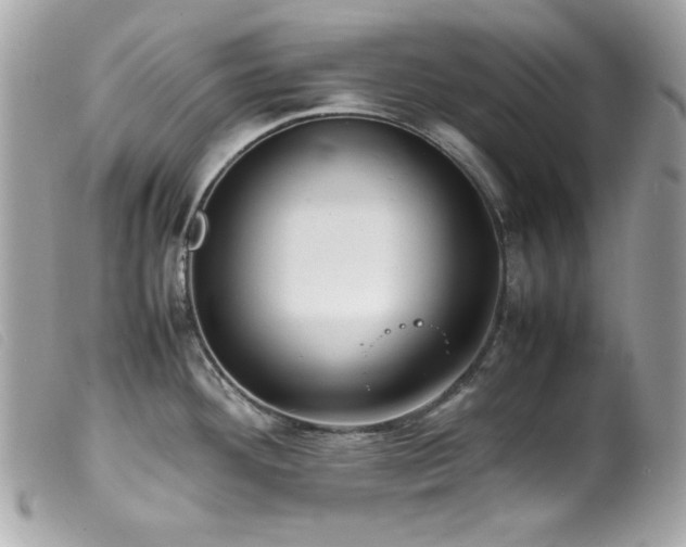 X0000100231292200805301404