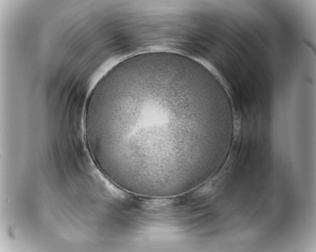 X0000100231294200805301404