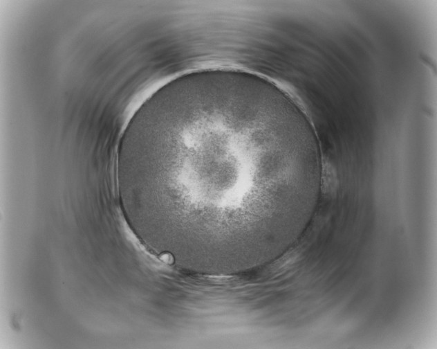 X0000100231295200805301404
