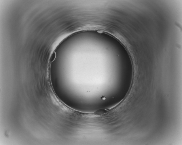 X0000100231296200805301404