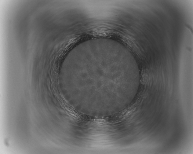 X0000100231297200805301403