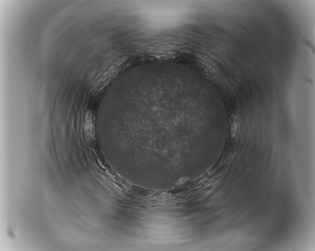 X0000100231298200805301403