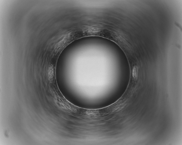 X0000100231299200805301403