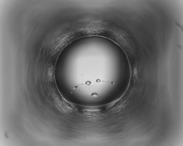 X0000100231300200805301403
