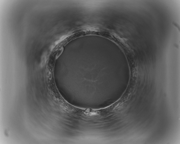 X0000100231303200805301404
