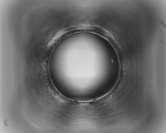 X0000100231304200805301404