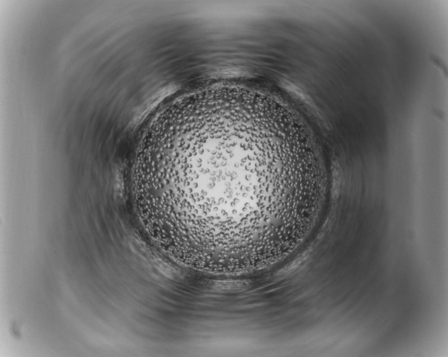 X0000100231305200805301404