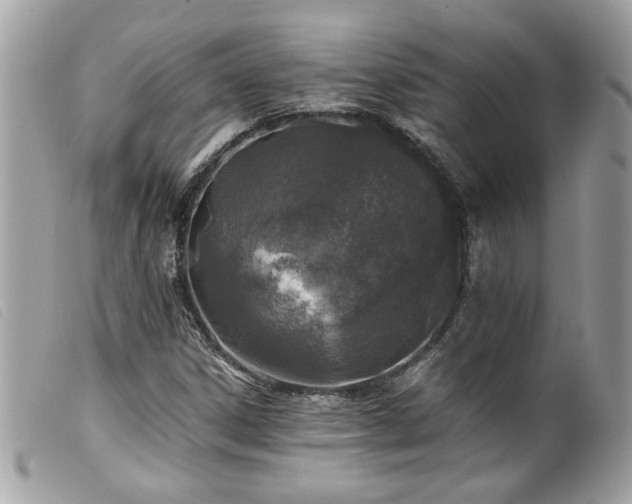 X0000100231306200805301404