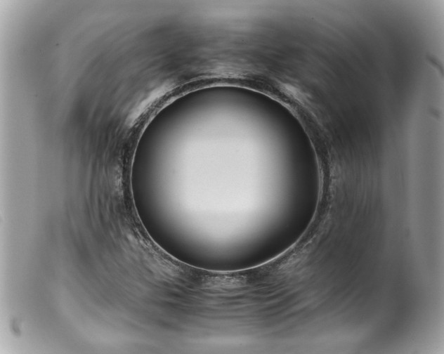 X0000100231307200805301404